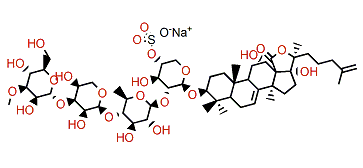 Patagonicoside B